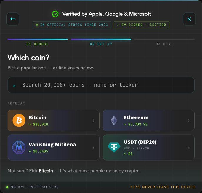 “Which coin?” screen with Bitcoin, Ethereum, and USDT